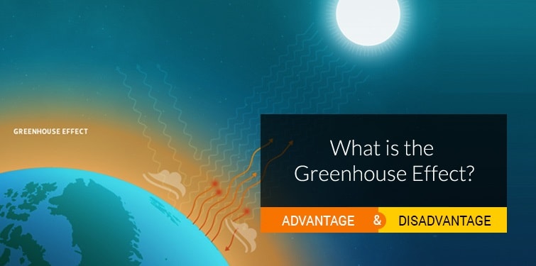 Advantages And Disadvantages Of Greenhouse Effect